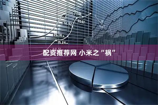 配资推荐网 小米之“祸”