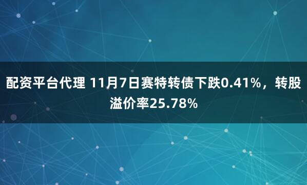 配资平台代理 11月7日赛特转债下跌0.41%，转股溢价率25.78%