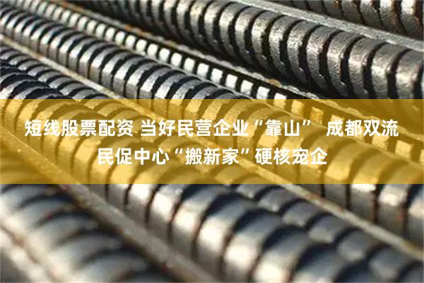 短线股票配资 当好民营企业“靠山”  成都双流民促中心“搬新家”硬核宠企