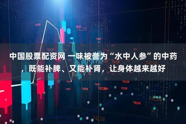 中国股票配资网 一味被誉为“水中人参”的中药，既能补脾、又能补肾，让身体越来越好